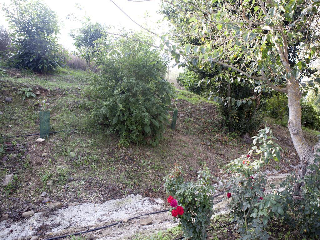 Casa Rural Vega El Dorado San Pablo المظهر الخارجي الصورة